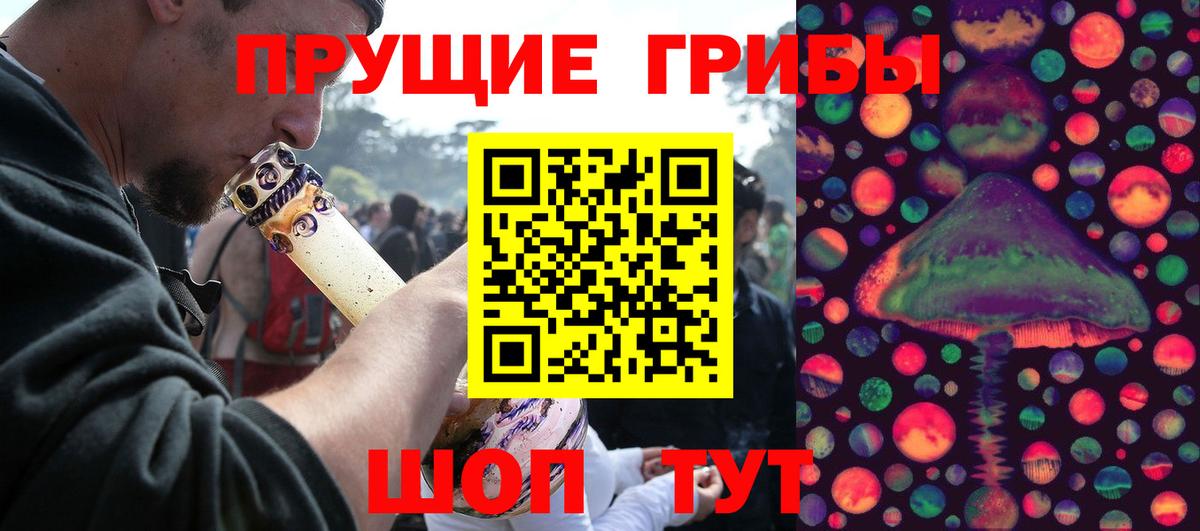 Галлюциногенные грибы прущие грибы Будённовск